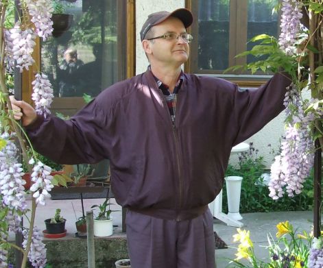lila_akacok.jpg